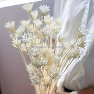 漂白藤の蔓 ホワイトカラー ドライフラワー プリザーブドフラワー アマランサス シダ ウェディングブーケ 壁掛け ホームデコレーション用 - Product Image 6