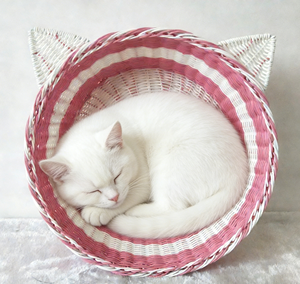 Nouveau panier de rangement tressé en rotin PE rose, forme de chat ronde, résistant aux rayures, pour animaux de compagnie, lit pour chat, très tendance - Product Image 1