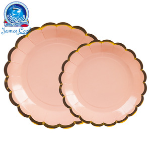 Ensemble de vaisselle jetable pour fête, assiettes, gobelets, serviettes, couverts, couleurs macaron élégantes, kit de fournitures pour fête - Product Image 2