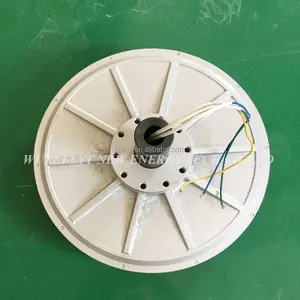 Éolienne <span class=keywords><strong>verticale</strong></span> 500w 200r 24v 48v 96v 220VDC, alternateur à aimants permanents, générateur à rotor externe sans noyau, éolienne <span class=keywords><strong>DIY</strong></span> - Product Image 1