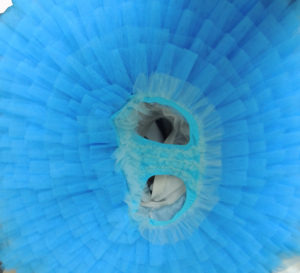 Tutu de Ballet pour Fille Robe Tutu Colorée en Tulle à Volants au <span class=keywords><strong>Crochet</strong></span> Personnalisée par Oiseau Bleu pour Enfant et Adulte Professionnel - Product Image 5