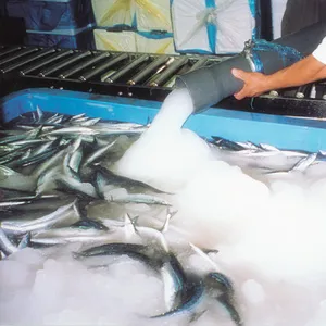 Cristal de glace en céramique fait par la machine à glace slyre, pour le stockage de fruits de mer, la viande au froid