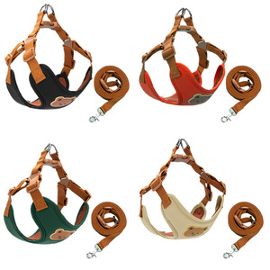 Pet <strong>Harness</strong>-Style Leash for Small/Medium <strong>Dogs</strong>-Outdoor Walking Rope Chest <strong>Harness</strong> with Teddy <strong>Chain</strong> Design - Product Image 2