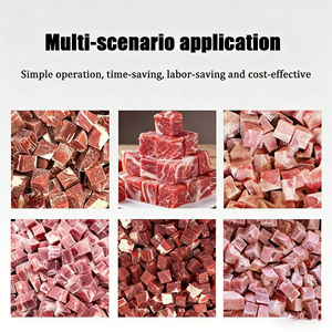Machine automatique <span class=keywords><strong>de</strong></span> découpe <span class=keywords><strong>de</strong></span> poulet congelé, <span class=keywords><strong>de</strong></span> bœuf, <span class=keywords><strong>de</strong></span> <span class=keywords><strong>légumes</strong></span>, <span class=keywords><strong>de</strong></span> <span class=keywords><strong>poisson</strong></span>, <span class=keywords><strong>de</strong></span> viande <span class=keywords><strong>de</strong></span> bœuf, <span class=keywords><strong>de</strong></span> découpe en cubes <span class=keywords><strong>de</strong></span> viande, machine à découper la viande - Product Image 6