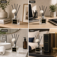 Diffuseur de parfum en verre personnalisé avec bâtonnets et huile, sans plomb, capacité 50 ml, pour la maison
