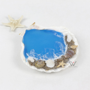 <span class=keywords><strong>Petit</strong></span> coquillage mélange minuscule coquille de mer Lot plage mariage décor coquillages pour artisanat résine époxy océan mer vague conception - Product Image 4