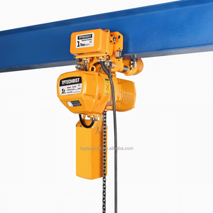 Katrol rantai listrik hewan peliharaan pemeliharaan rendah dengan kait kerekan rantai listrik tanpa batas - Product Image 1