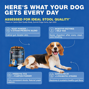 Probióticos Pre-Dosificados de Fábrica OEM para Optimizar la Calidad de la Heces, Masticables Blandos para Perros con Sabor a Pato, 180 Unidades, Mezcla de Enzimas Digestivas - Product Image 4