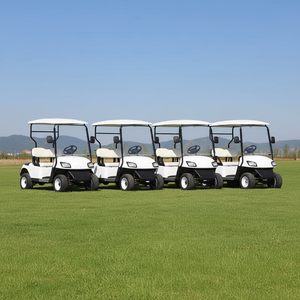 Voiturette de golf électrique 4-6 places avec sièges de luxe pour attraction touristique - Product Image 6