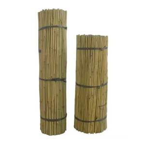 Varillas de Bambú Natural Tonkin de Diámetro Pequeño para Soporte de Plantas, Estacas para Viveros y Jardines, Venta al por Mayor Directa de Fábrica en Vietnam - Product Image 1
