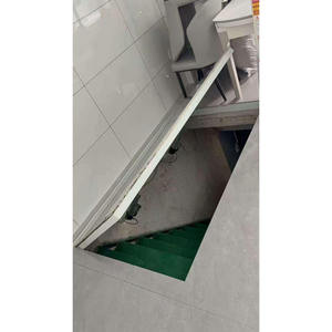 Puerta de Techo y Sótano Automática con Motor de Alta Resistencia para Almacenes y Sótanos - Product Image 6