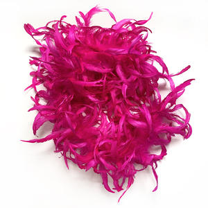 Venta caliente <span class=keywords><strong>2</strong></span> <span class=keywords><strong>metros</strong></span> <span class=keywords><strong>de</strong></span> largo cola <span class=keywords><strong>de</strong></span> gallo Samba Boa danza pluma Boa teñido patrón puesta en escena fiesta decoración precio <span class=keywords><strong>de</strong></span> fábrica - Product Image 6