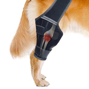 Attelle réglable pour pattes arrière de <span class=keywords><strong>chien</strong></span>, protection antidérapante de type gilet pour deux pattes arrière, pour le soutien articulaire - Product Image 2