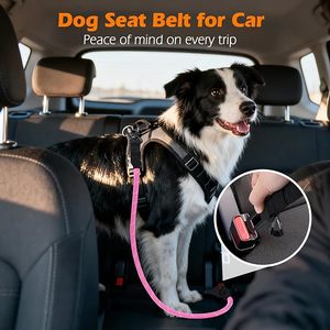 Cinturón de Seguridad para Perros de Doble Hebilla, de Lujo, con Logotipo Personalizado, Correa de Nailon Resistente, Arnés para <span class=keywords><strong>Coche</strong></span>, Correa de Seguridad para Mascotas - Product Image 4
