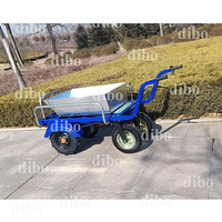 Equipo de Manipulación de Materiales de Construcción, Carretilla Transportadora de Alta Potencia para Huertos, Carretilla Eléctrica de Plomo-Ácido