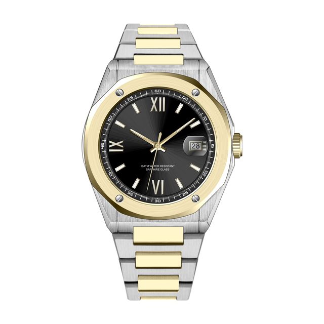 New Design Brand Two Tone Color  OEM Custom Logo Steel Vintage Business Watch Japanese Automatic Mechanical Watches for Men