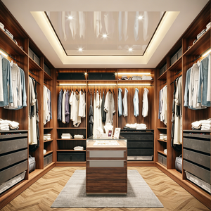 BALOM Tailored Modern Walk in Closet With Matte Finish Cabinets Glass <strong>Inserts</strong> LED Lighting and Attached Makeup Station - Product Image 3