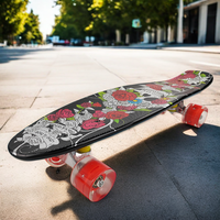 Planche à roulettes portable en plastique PP personnalisé dans l'étiquette de moulage de l'extérieur de la plinthe pour adulte
