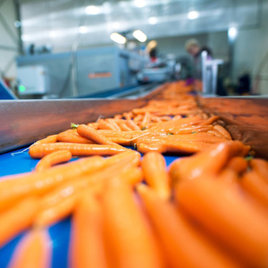 Trung Quốc tự nhiên mất nước cà rốt rau nhà sản xuất Khô Cà rốt - Product Image 2