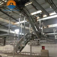 Ligne d'abattage automatique de moutons et de chèvres de 50 à 100 têtes par jour, certifiée Halal, ISO9000, en acier inoxydable 304, haute productivité