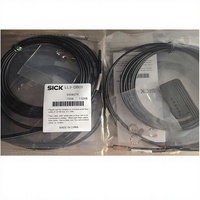 Câble à fibres optiques SICK allemand pour l'automatisation industrielle, capteur photoélectrique 30V LL3-TB01 LL3-DB01 LL3-TS08 LL3-TS40/DT01