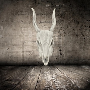 Creative Halloween Gift Decoration <b>Animal</b> Skull Sheep Head Home Wall Decor Pendant - Product Image 5