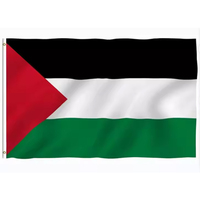 Drapeau des pays 3X5FT Polyester Imprimé Drapeau de la Palestine