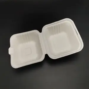 Kingwin scatola di imballaggio per fast food a conchiglia di bagassa di canna da zucchero usa e getta biodegradabile