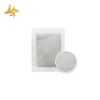 Soins de santé produits de beauté japonais naturel à base de plantes bambou vitamine infusé tampons amincissants corps Detox pied Patch pour les femmes
