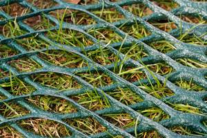 Bán buôn Tùy chỉnh màu xanh lá cây 1000gsm 100% HDPE nhựa phẳng lưới cỏ bảo vệ gia cố lưới - Product Image 6