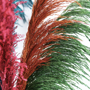 Decoración Boho Neutral para el Hogar, Ramo de Hierba de Pampas Seca y Esponjosa, Decoración Alta para Florero de Piso, Decoración Floral para Bodas, Paredes y Mesas - Product Image 6