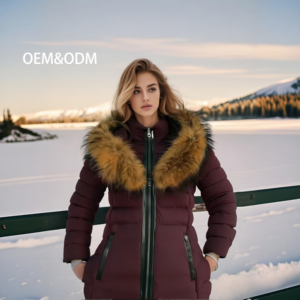 फैशन सर्दियों लंबे कोट थोक लंबी बतख नीचे जैकेट Hooded महिलाओं गर्म जैकेट - Product Image 1