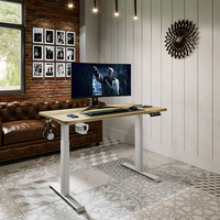 Bureau assis-debout électrique moderne et minimaliste de luxe à double moteur, en métal, ergonomique, réglable en hauteur, facile à assembler, mobilier de bureau