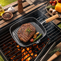 Poêle carrée en fonte pré-assaisonnée avec poignée en bois, grillée, côtelée, pour grillades de steaks, barbecue, cuisson intérieure et extérieure, cuisson domestique, gaz