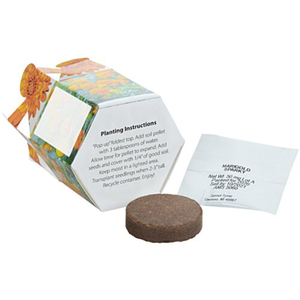 Kit de Jardinière Pop-up Personnalisable avec Logo, pour Marigolds, Pliable, Portable, Doré Vibrant, pour un Jardin Festif et Fleuri, Cadeau, Vente en Gros - Product Image 3