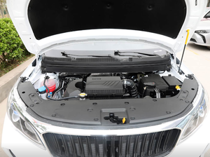 2024 Gas Energy Livan <span class=keywords><strong>X3</strong></span> <span class=keywords><strong>PRO</strong></span> 113 Cavalli 1.5L L4 Cambio Manuale a 5 Marce Versione Piccola e Carina SUV Compatto 5 Porte 5 Posti - Product Image 4