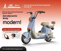 Vélo Électrique Urbain Bleu U 3 Vitesses, Nouveau Modèle Norme Nationale, 350W 48V, Batterie Plomb-Acide, Moteur Brushless, Cadre en Acier, Roues Avant et Arrière