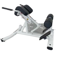 Chaise romaine réglable, banc d'hyperextension, équipement de fitness pour la maison, station d'extension dorsale en acier massif pour l'entraînement de la force centrale