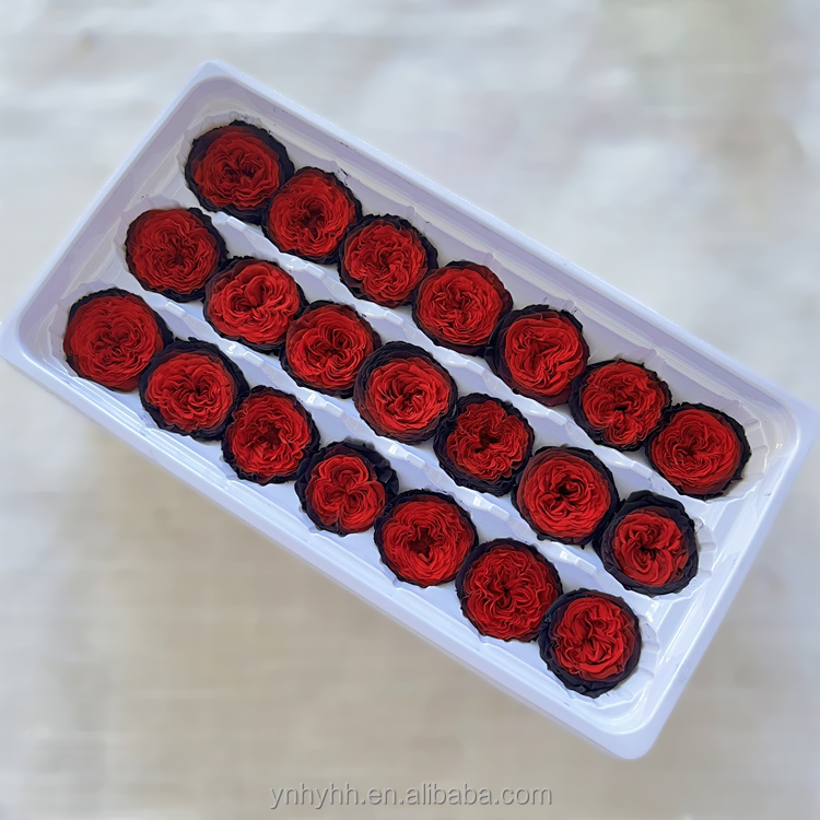 Rojo+negro