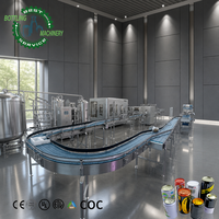 Línea de Llenado de Agua Carbonatada Escalable de 12000 Latas por Hora con Sistema de Carbonatación de CO2 para Latas de 0-500 ml
