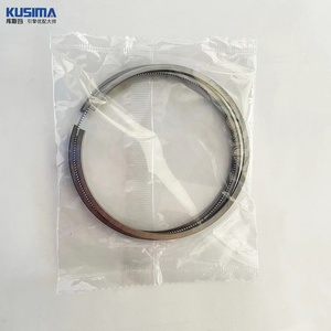 Pièces de moteur automobile de haute qualité, segments de piston pour Land Rover Jaguar <span class=keywords><strong>Discovery</strong></span> <span class=keywords><strong>Sport</strong></span> 276DT 2.7T 306DT TDV6 AJV6D 3.0T OE LR041639 - Product Image 4