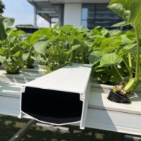 Équipement hydroponique NFT en PVC anti-algues à blocage lumineux à 100 % pour légumes-feuilles commerciaux
