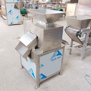 Extracteur de jus de fruits automatique à double rouleau, presse électrique pour mangues et fruits - Product Image 3