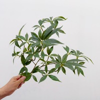 Künstliche Kapok-Blätter, Flache Zweige, Chinesischer Blumenarrangement-Stil, Hotel-Modellraum-Dekoration, Grünpflanzen Großhandel