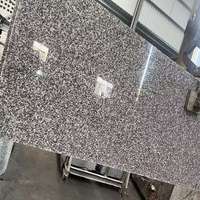 Vente chaude : Carreaux de sol en granit rose G664 Bainbrook Brown naturel poli, style moderne, 60x60, pour villa
