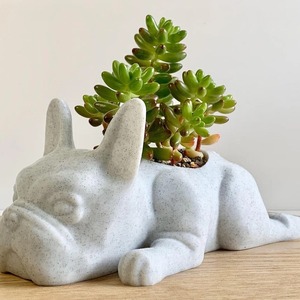 Maceta <span class=keywords><strong>de</strong></span> resina con forma <span class=keywords><strong>de</strong></span> bulldog francés recostado, textura <span class=keywords><strong>de</strong></span> hormigón, para suculentas, decoración nórdica para el hogar y jardín, regalo al por mayor, decoración <span class=keywords><strong>de</strong></span> mesa OEM - Product Image 5