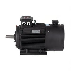 มอเตอร์ YE5(IE5)355L4-8-220KW ประสิทธิภาพสูง แบบสามเฟส ป้องกันการระเบิด 50Hz ราคา - Product Image 5