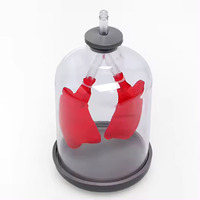 Simulateur de mouvement pulmonaire manuel démontable de haute qualité pour l'enseignement de la biologie du système respiratoire, équipement éducatif