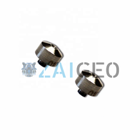 Wasserstrahl-Diamantdüse 20481705 20481706 20481707 20481708 20481709 20481710 20481711 20481712 20481713 20481716 Düse