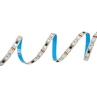 Bande LED RGBW effet courant 60leds/m DC12V 14.4W IP67 étanche pour hôtel fête extérieure décoration de bar à la maison